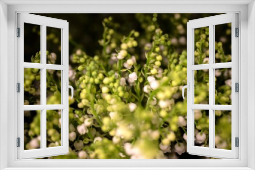 Fototapeta Naklejka Na Ścianę Okno 3D - Brin de Muguet