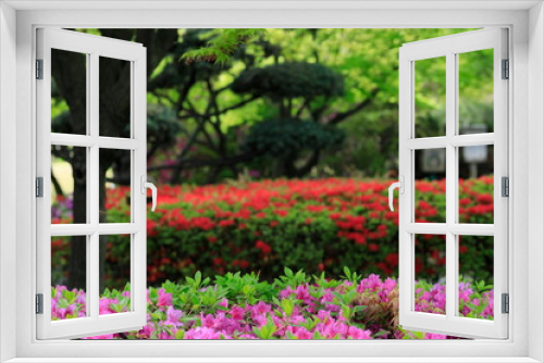 Fototapeta Naklejka Na Ścianę Okno 3D - 철쭉꽃이 보이는 아름다운 봄풍경