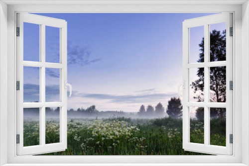 Fototapeta Naklejka Na Ścianę Okno 3D - Meadow landscape