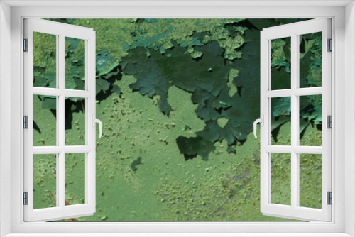 Fototapeta Naklejka Na Ścianę Okno 3D - zielona ciekawa tekstura tworzona przez farbę