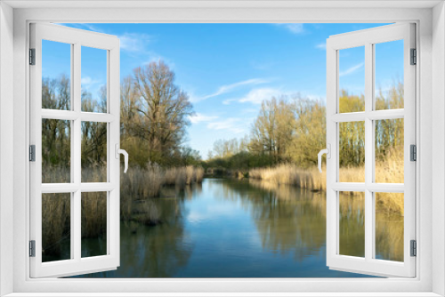 Fototapeta Naklejka Na Ścianę Okno 3D - Beautiful landscape with forest lake on the background of bright blue sky in the nature reserve Wilgenbos Almere de Vaart. Spring quiet evening.