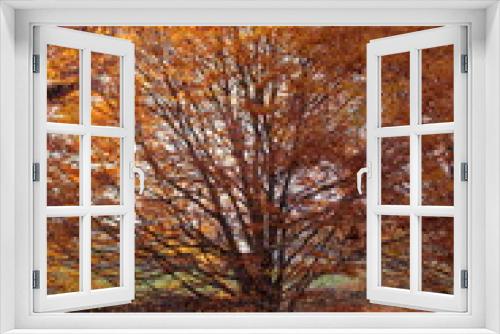 Fototapeta Naklejka Na Ścianę Okno 3D - A large red oak tree in a forest