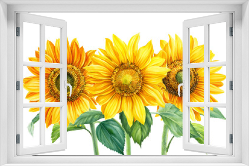 Fototapeta Naklejka Na Ścianę Okno 3D - sunflowerson an isolated white background, watercolor botanical illustration