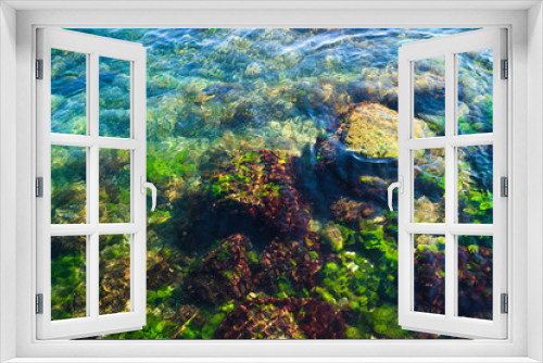 Fototapeta Naklejka Na Ścianę Okno 3D - A reef off the Adriatic coast and underwater rocks covered with green and red algae.