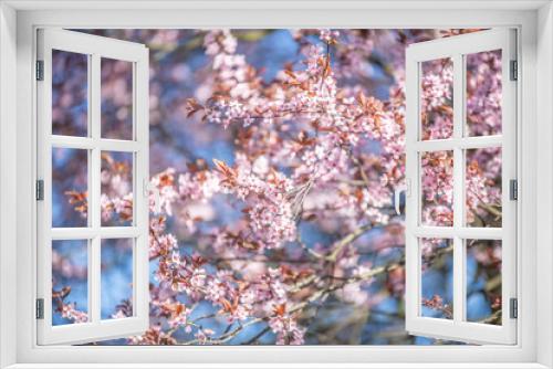 Fototapeta Naklejka Na Ścianę Okno 3D - Różowe kwiaty na tle nieba