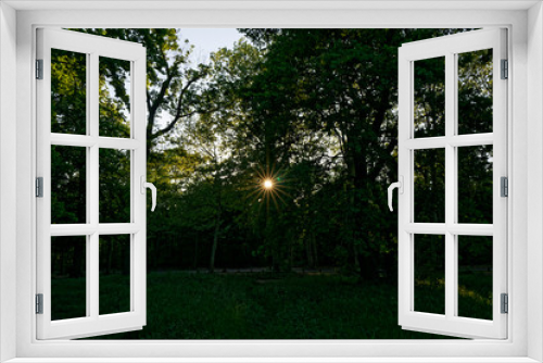 Fototapeta Naklejka Na Ścianę Okno 3D - Sunset in the park