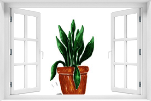 Fototapeta Naklejka Na Ścianę Okno 3D - green plant in a pot