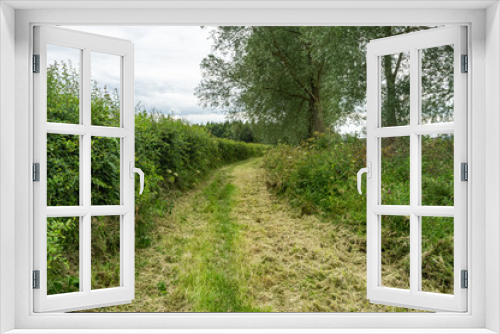 Fototapeta Naklejka Na Ścianę Okno 3D - Hedgerows