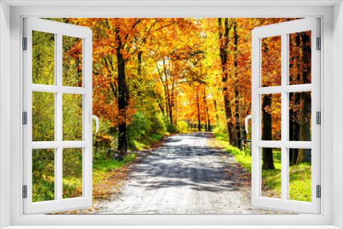 Fototapeta Naklejka Na Ścianę Okno 3D - Entrance street gravel dirt road during orange red autumn in rural countryside in northern Virginia with trees lining path in vibrant foliage neighborhood