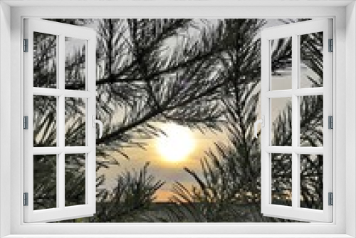Fototapeta Naklejka Na Ścianę Okno 3D - sunset in the forest