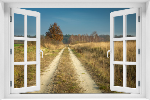 Fototapeta Naklejka Na Ścianę Okno 3D - Dirt road to the forest, autumn tree and blue sky