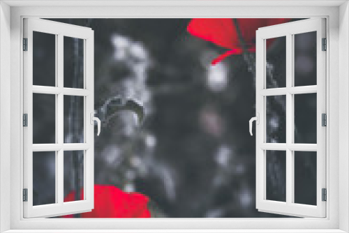 Fototapeta Naklejka Na Ścianę Okno 3D - Passion 