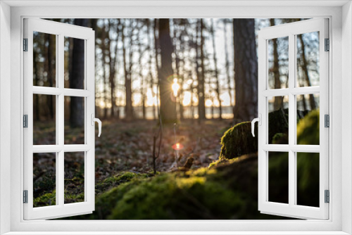 Fototapeta Naklejka Na Ścianę Okno 3D - Sonnenaufgang Wald Franken
