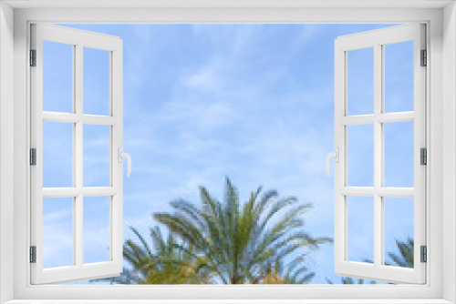 Fototapeta Naklejka Na Ścianę Okno 3D - Palm trees against blue sky, Tel Aviv, Israel