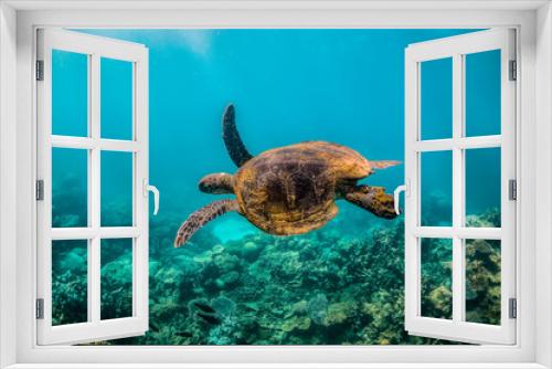 Fototapeta Naklejka Na Ścianę Okno 3D - green turtle swimming in clear blue water among colorful coral formations