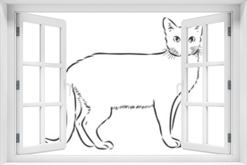 Fototapeta Naklejka Na Ścianę Okno 3D - domestic cat, realistic vector sketch illustration, the sign of the cat