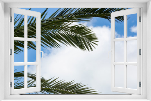 Fototapeta Naklejka Na Ścianę Okno 3D - palm tree against blue sky
