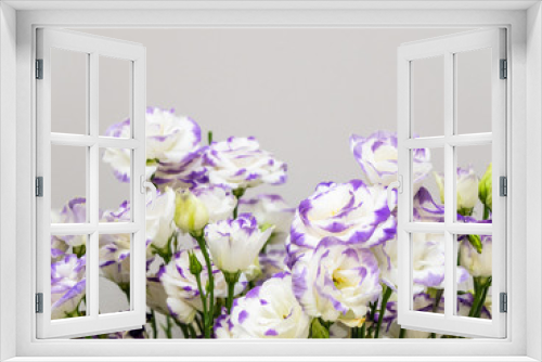 Fototapeta Naklejka Na Ścianę Okno 3D - Delicate flowers eustoma white and violet color with copy space. Slide to the cards. Beautiful Lisianthus flowers as a symbol of spring and beauty. Screen saver or blank for the designer