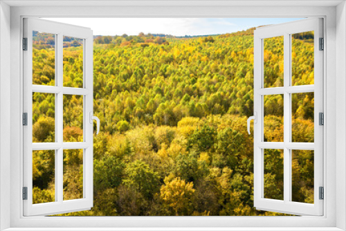 Fototapeta Naklejka Na Ścianę Okno 3D - Top down aerial view of green and yellow canopies in autumn forest with many fresh trees.
