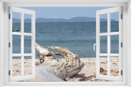 Fototapeta Naklejka Na Ścianę Okno 3D - 流木と海　夏のイメージ