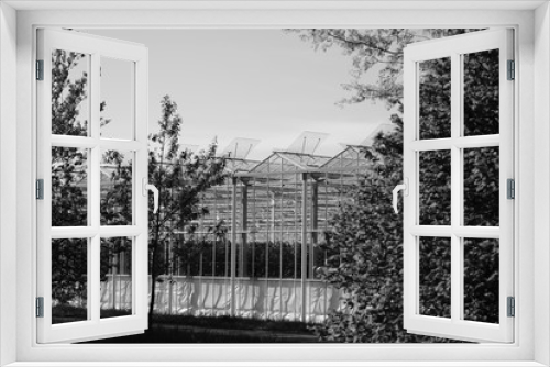 Fototapeta Naklejka Na Ścianę Okno 3D - greenhouses