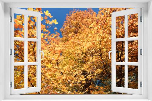 Fototapeta Naklejka Na Ścianę Okno 3D - Maple Leaf Abstract