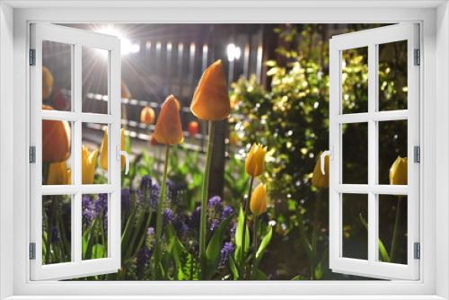 Fototapeta Naklejka Na Ścianę Okno 3D - Tulipany