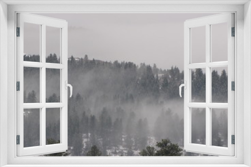 Fototapeta Naklejka Na Ścianę Okno 3D - Misty Forest