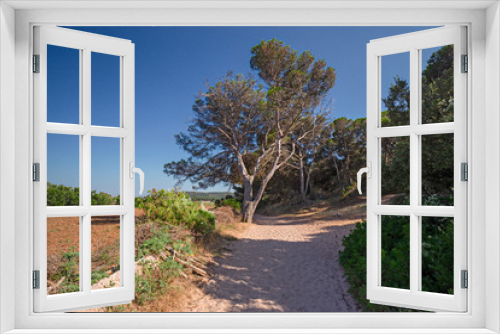 Fototapeta Naklejka Na Ścianę Okno 3D - Panoramic view of a dirt road on the island of Menorca in Spain.