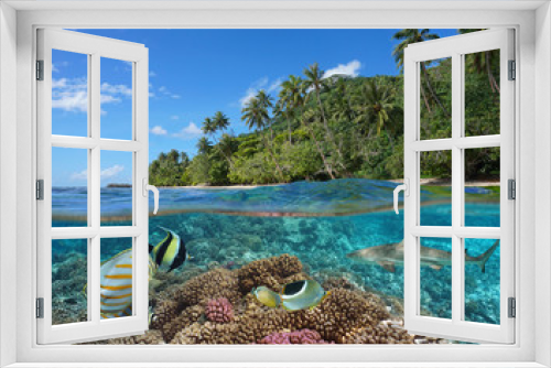 Fototapeta Naklejka Na Ścianę Okno 3D - French Polynesia, coral reef with colorful fish underwater and tropical coast with green vegetation, split view over and under water surface, Pacific ocean, Oceania