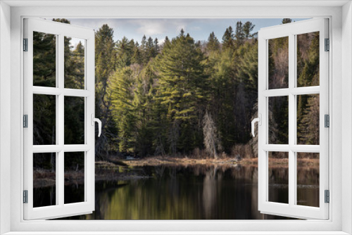 Fototapeta Naklejka Na Ścianę Okno 3D - A beautiful spring scenery and reflections at a beaver pond in springtime in late afternoon sun