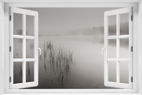 Fototapeta Naklejka Na Ścianę Okno 3D - atmosfera suggestiva su questo lago con la nebbia al mattino