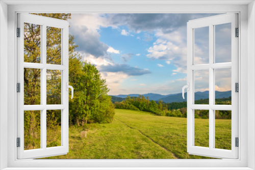 Fototapeta Naklejka Na Ścianę Okno 3D - Spring day in the mountains. Wallpaper or desktop background. Green meadow, forest and blue sky with clouds. Forest before rain, cloudy weather.