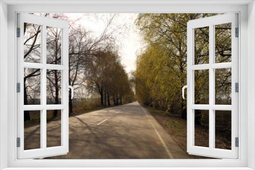 Fototapeta Naklejka Na Ścianę Okno 3D - The landscape of road, trees and sky