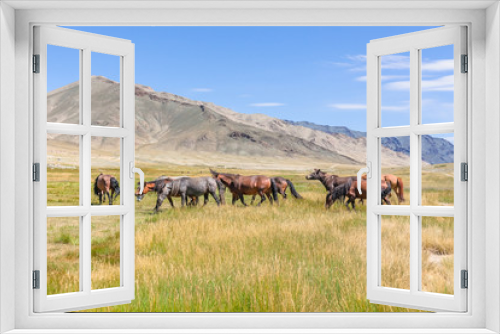 Fototapeta Naklejka Na Ścianę Okno 3D - Herd of horses on mountains meadows of mongolian Altai.