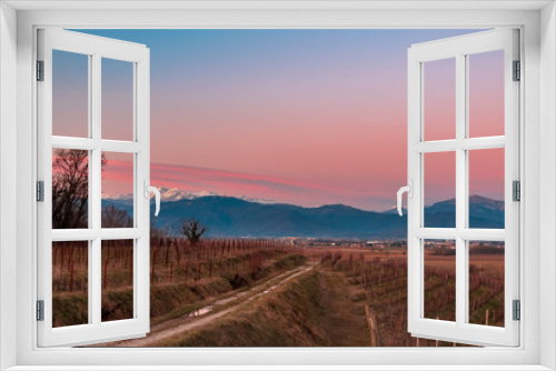Fototapeta Naklejka Na Ścianę Okno 3D - Winter sunset in the vineyards of Collio Friulano