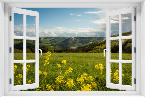 Fototapeta Naklejka Na Ścianę Okno 3D - Panorama, Frühling, frühjahr, gelbe blumen, dunst, regen, sonne, landschaft, luxemburg