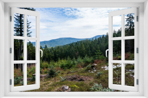 Fototapeta Naklejka Na Ścianę Okno 3D - view of beautiful spruce forests in the mountains , czech beskydy