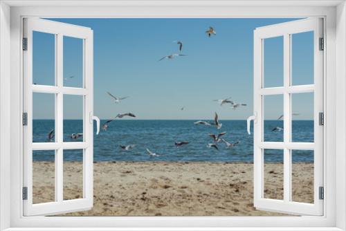 Fototapeta Naklejka Na Ścianę Okno 3D - Seagulls / birds / silence / peace / tranquility / harmony / sea / sand / beach / ocean / animals / nature
