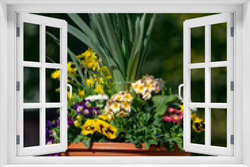 Fototapeta Naklejka Na Ścianę Okno 3D - Flower Pot 1
