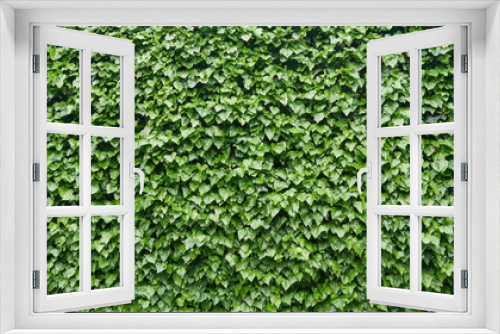 Fototapeta Naklejka Na Ścianę Okno 3D - Green Grass Wall 