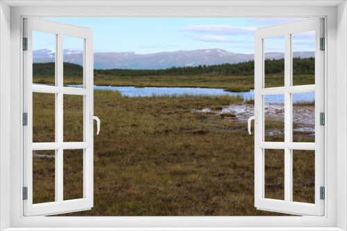 Fototapeta Naklejka Na Ścianę Okno 3D - Mountain wetland in arctic tundra in abisko national park, northern Sweden