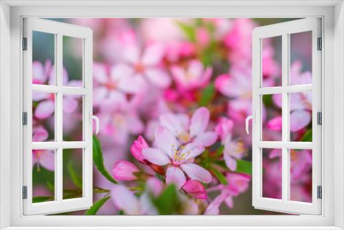 Fototapeta Naklejka Na Ścianę Okno 3D - Flowering pink almond