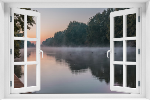 Fototapeta Naklejka Na Ścianę Okno 3D - Beautiful riverside view with mist floating on water. In the background ducks and forest on river bank. Interesting mirror reflection on water surface. Sunrise, Oder river, Wroclaw, Poland.  
