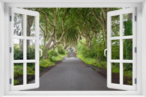 Fototapeta Naklejka Na Ścianę Okno 3D - The road along the dark hedges (Game of thrones location) in Northern Ireland