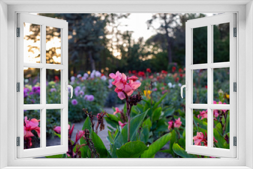 Fototapeta Naklejka Na Ścianę Okno 3D - pink tulips in the garden