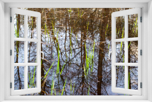 Fototapeta Naklejka Na Ścianę Okno 3D - forest reflection in the water in the evening