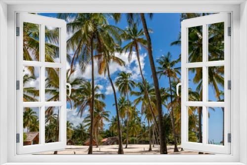 Fototapeta Naklejka Na Ścianę Okno 3D - タンザニア・ザンジバル島のパジェビーチに広がる、青空と白い砂浜・ヤシの木