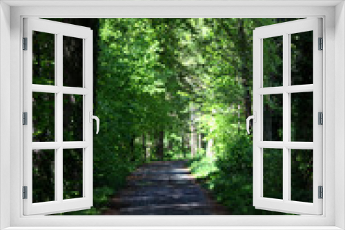 Fototapeta Naklejka Na Ścianę Okno 3D - Eine Baum Allee