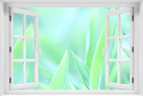 Fototapeta Naklejka Na Ścianę Okno 3D - 青笹